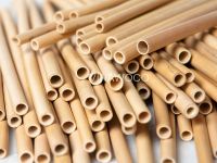 Nature Bamboo Straw Replace Paper Straws & Wheat Straw - NBBSRPPWS