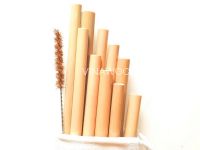 Set 10 Straws + 1 Brush + 1 Canvas Pouch for Bamboo Straws - S10SBCBBS