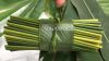 Wholesale Disposable Grass Straws - anh 2