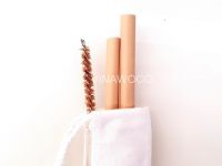 Set 2 Straws + 1 Brush in Canvas Pouch for Bamboo Straws - S2BCPBBS